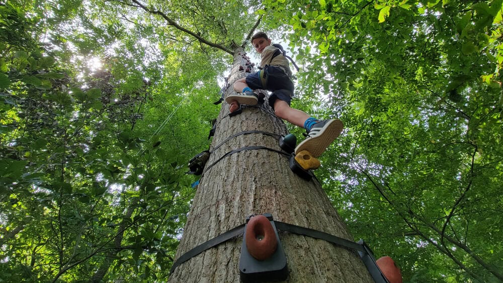 a young boy is climbing up a tree trunk at Tree House World