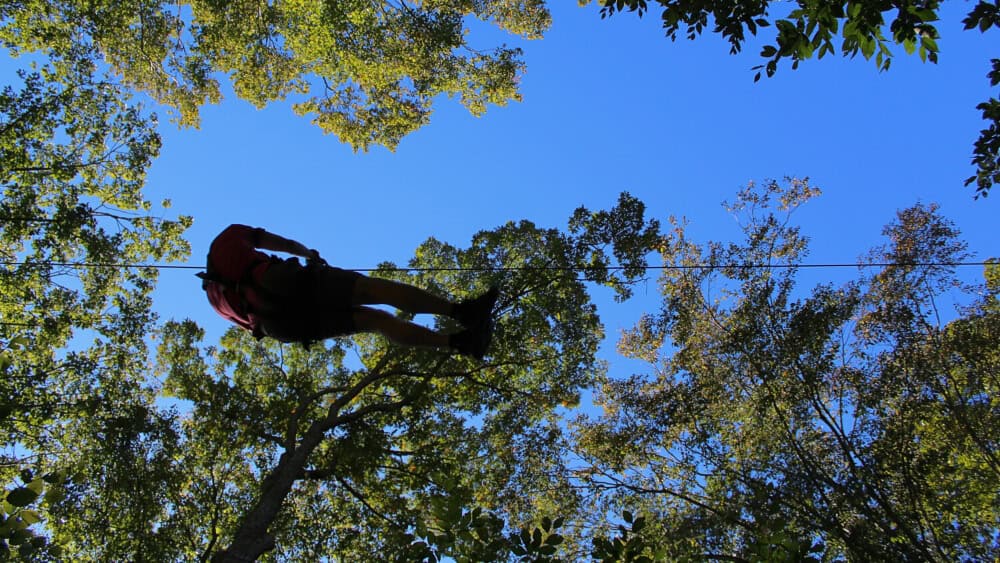 looking up at a man ziplining through the trees