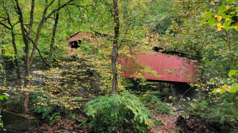 Thomas Mill Covered bridge, colored red, hides behind some trees in Wissahickon Valley Park