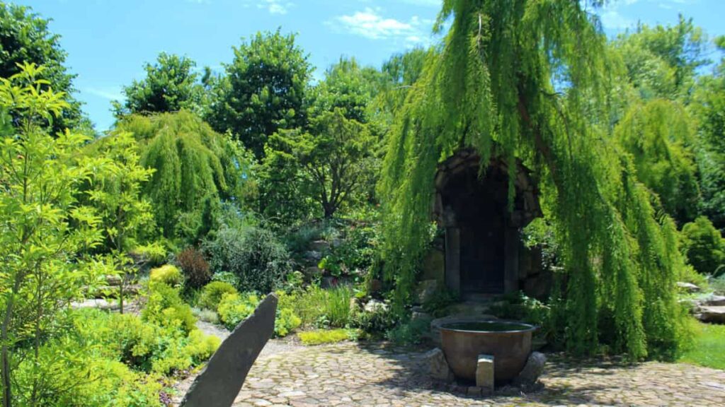 looking at the entance of a "hobbit house" with a large weeping tree adjacent