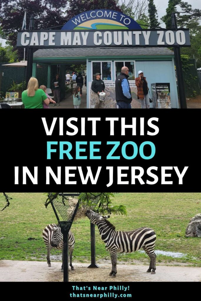 The Cape May County Zoo is and fun and FREE zoo to visit in Southern New Jersey