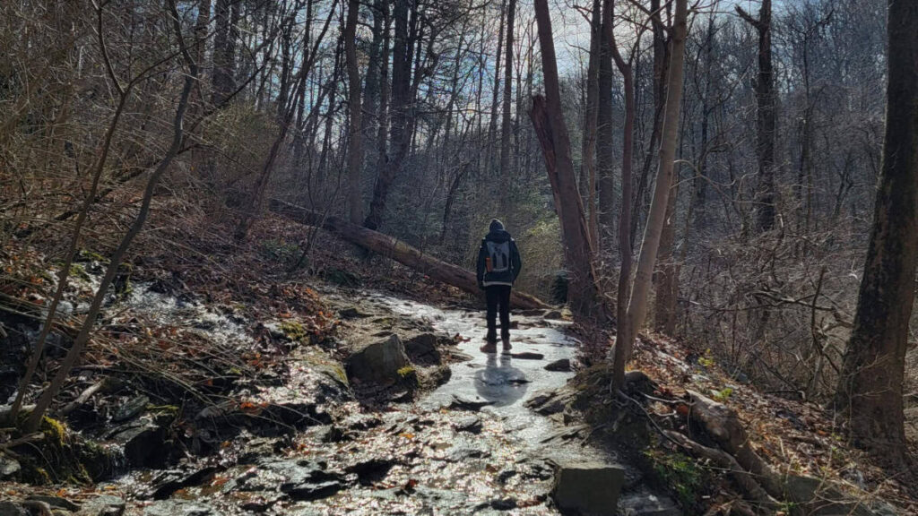 a boy walk down an icy trail at Wissahickon Valley park