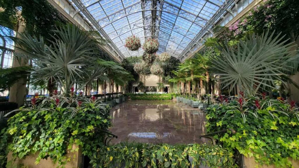 Inside the Longwood Gardens conservatory