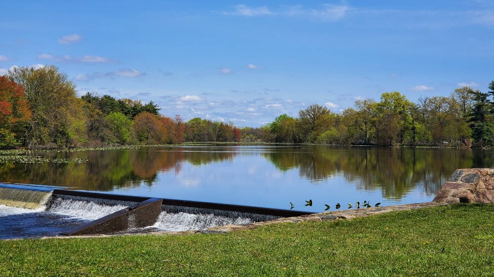 looking out over Silver Lake in Bristol PA