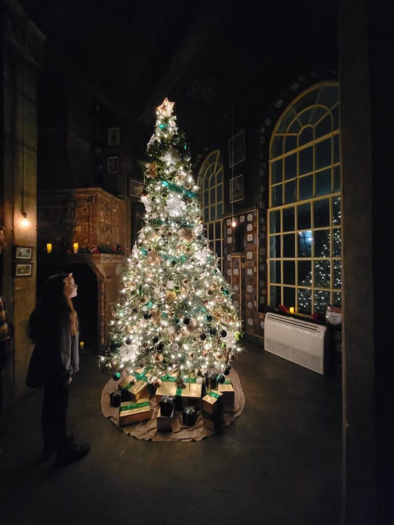 A young girl looks up at a glowing Christmas tree as it reflects off a large window