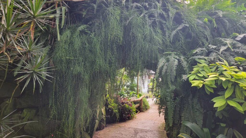 Looking at a walking path that passes through a short tunnel with tropical plants growing on top