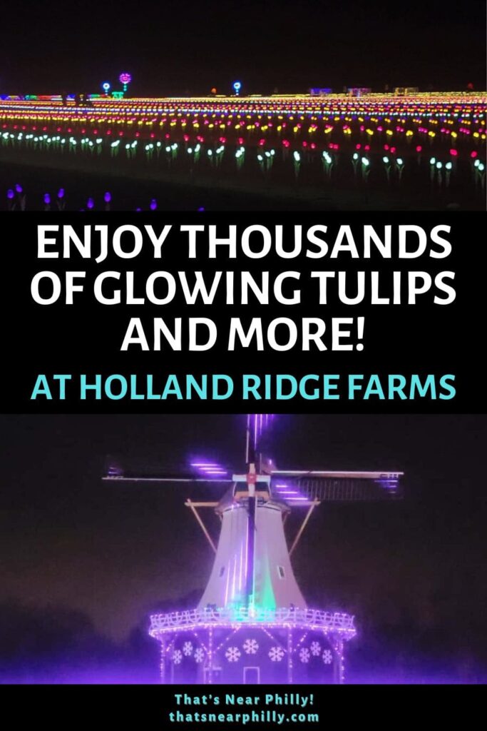 See over 50000 glowing tulips and more at Winter Wonderland at Holland Ridge Farms in New Jersey