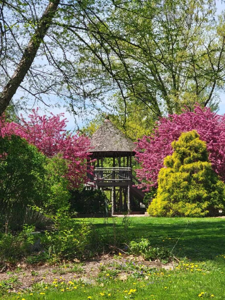 Pink flowers surround a two story gazebo at the Hunterdon Arboretum