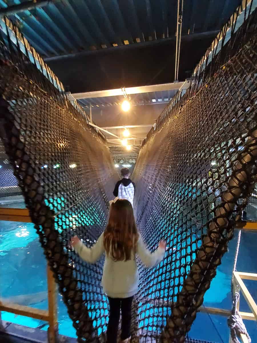 Picture of Adventure Aquarium in New Jersey: A Full Guide - That's Near Philly!