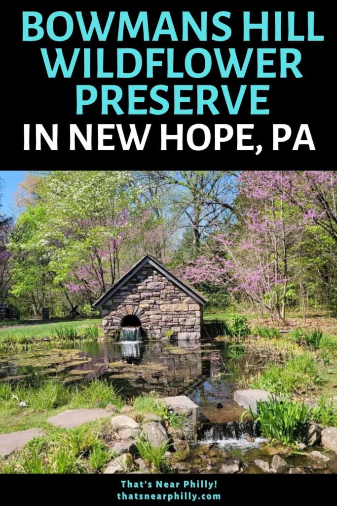 the Bowman's Hill Wildflower Preserve is a 134-acre green space in central Bucks County with various trails to enjoy the native species of Pennsylvania