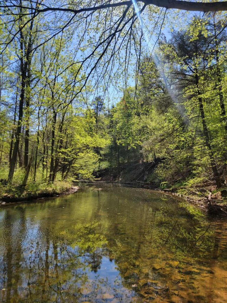 a waterway flows with trees on either side of the banks