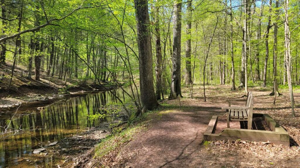 a wooden bench sits along a flat path next to a creek