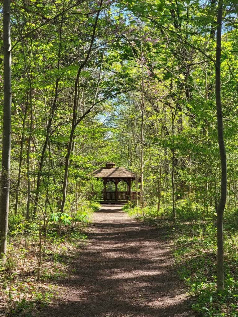 a wide flat dirt path leads to a wooden gazebo