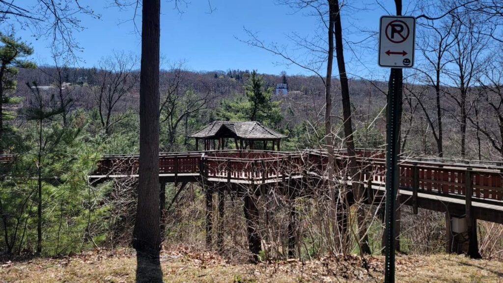 View of David Wenzel Treehouse from afar in May Aug Park in Scranton