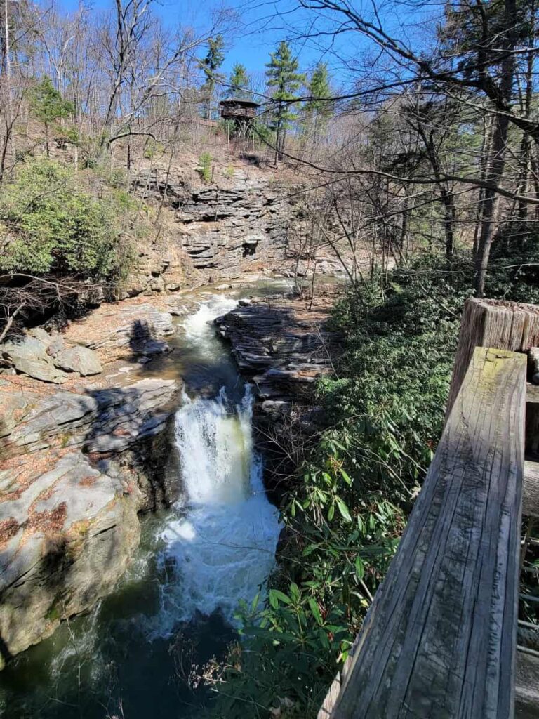 Looking across to the Roaring Brook waterfall in Nay Aug Park